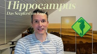 Hippocampus  der Bibliothekar im Kopf Folge 8 [upl. by Regan]