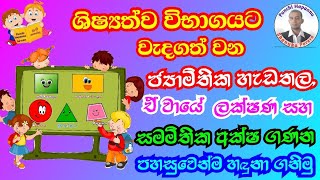 ජ්‍යාමිතික හැඩතල  Maths Lesson  Shapes amp Solids in Sinhala  Jayamithika Hadathala  Gana Wastu [upl. by Kokoruda96]