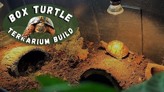 Box Turtle Enclosure Build  BIOACTIVE Terrarium [upl. by Ecadnak861]