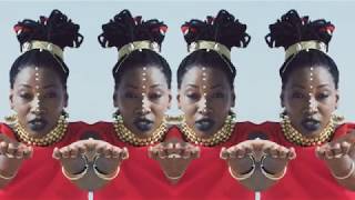 Fatoumata Diawara  Nterini [upl. by Ientruoc]