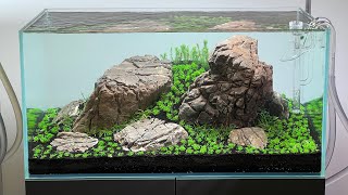 MINIMALIST IWAGUMI AQUASCAPE  DEEP DIVE  500 ROCKS [upl. by Reinald415]