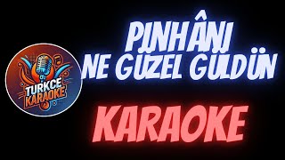 Pinhâni  Ne Güzel Güldün Karaoke [upl. by Auhsuoj]