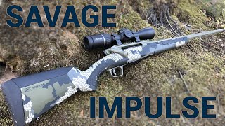 Savage Impulse Big Game Rifle Review [upl. by Nelle]