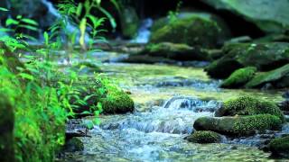 Nature Sounds Without Music  10Minutes of a Mountain Stream [upl. by Liagiba]