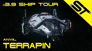 Star Citizen α 39  Anvil Terrapin  Tour [upl. by Eylk987]