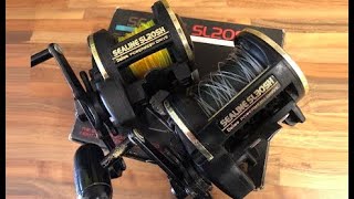 Tackle review  Daiwa sl30sh  sl20sh  BoatShore Multiplier reel [upl. by Annasus]