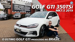 Avaliação VW GOLF GTI 350TSi MK75  O ultimo produzido no Brasil [upl. by Yhtomiht]