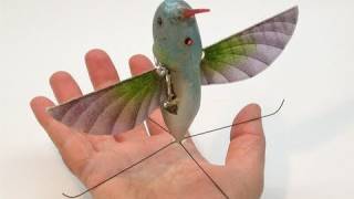 Nano Kolibri Militärischer Aufklärer getarnt als KleinstVogel [upl. by Southworth943]