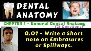 Dental Anat  Ch01  Q07  Embrasures or Spillways  Dr Prashant Sharma [upl. by Chuck614]