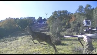 MONTERIAS EN TOLEDO 💥🐗🦌Jabalíes y Ciervas【INCREÍBLE】 [upl. by Steere]