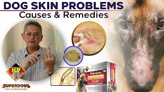 Dog Skin Problems  Causes amp Remedies Filipino [upl. by Melli9]