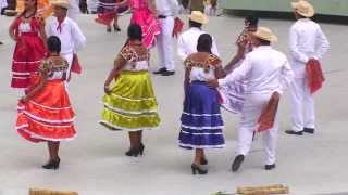 Sones y Chilenas San Juan Cacahuatepec Guelaguetza 2013 [upl. by Had]