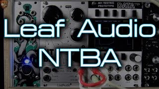 Leaf Audio  NTBA [upl. by Redan]