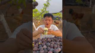 Cutting figs fruit with eating so fresh satisfiying natural shortvideo [upl. by Eikcim129]