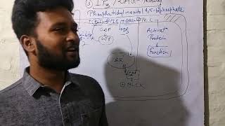 lect21 IP3 DAG Pathway PHARMACOLOGY [upl. by Adala]