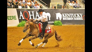 REINING CHAMPIONSHIPS AT THE KENTUCKY HORSE PARK [upl. by Currie327]