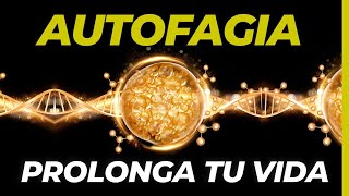 QUÉ es la AUTOFAGIA cómo puedes REGENERAR tu cuerpo y vivir más  LONGEVIDAD Dr Carlos Jaramillo [upl. by Pasco]