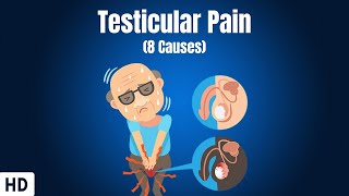 8 Causes Of Testicular Pain [upl. by Noelle]