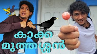 കാക്ക ശാസ്ത്രം Part 2  I Am Your മുത്തശ്ശൻ  Malayalam Vine  Ikru [upl. by Jacynth]