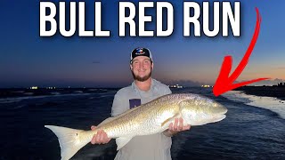 SURF FISHING for BIG BULL REDFISH Galveston [upl. by Reppiks373]