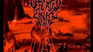 Defeated Sanity  Expectoration of Fear [upl. by Assyn]