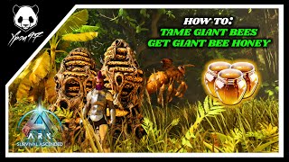 How To Tame GIANT BEES  How To Tame GIANT BEE HONEY  Easy BEE HIVE  ARK Survival Ascended [upl. by Jorgensen]