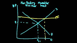 Nonbinding Price Floor [upl. by Jammin]