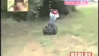 Chimpanzee riding on a segway 10H ORIGINAL [upl. by Hwu710]