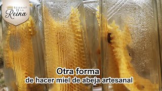 Manejo de Criar Abejas Reinas para principiantes y distintas formas de fecundacion [upl. by Dimitris]