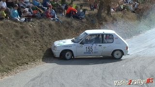 29ème Rallye de Haute Provence 2017  On Board Sebastien Loeb  Peugeot 306 Maxi [upl. by Nader54]