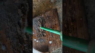 woodworm treatment agf ref [upl. by Ashia]