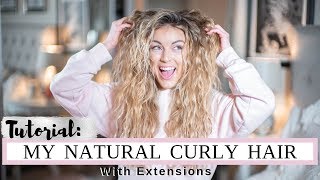 My Natural Curly Hair Tutorial Extension Edition  Angelique Cooper [upl. by Narod527]