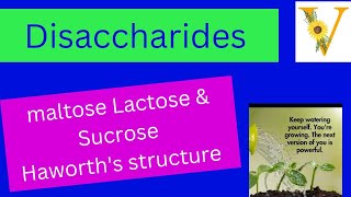 disaccharides  maltose  lactose  sucrose  haworth structural formula [upl. by Alba]