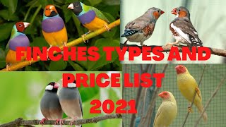 Finches Types And Price in India Kerala  Finches Variety  Finches Rate Kerala [upl. by Assilat]