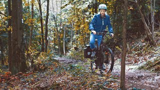 EBike 20  Das UD3 von HNF Nicolai im Wald mit SmartphoneHub amp OffroadKit [upl. by Laram]