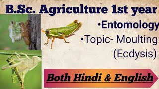 Moulting Ecdysis  Entomology  Explained in both hindi amp English [upl. by Ednyl]