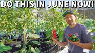 Critical June Garden Tasks Every Gardener Should Do NOW [upl. by Yeniar]