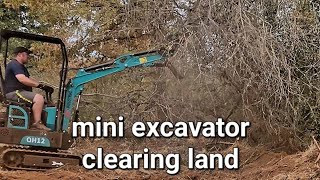 1 ton Chinese mini excavator review land clearing and trenching [upl. by Llertniuq]