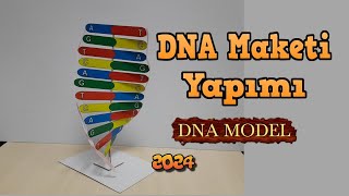 DNA MAKET YAPIMI  2024 yeni [upl. by Neroled]