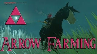 How to Farm Arrows EASILY Guide Zelda Breath of the Wild patched [upl. by Desiri]