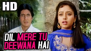 Dil Mere Tu Deewana Hai Sad  Kumar Sanu  Sooryavansham 1999 Songs  Amitabh Bachchan Soundarya [upl. by Jagir]