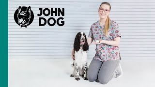 Kleszcze Przeciwkleszczowa ochrona psa  Tabletki  ZDROWIE PSA  John Dog [upl. by Petulia]