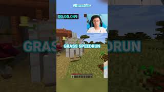 Minecraft Touch Grass Speedrun set seed [upl. by Rodavlas]