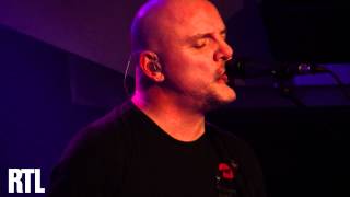 The Stranglers  My fickle resolve en live dans les Nocturnes de Georges Lang  RTL  RTL [upl. by Emelen]