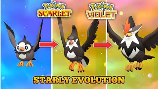 How To Evolve Starly Into Staravia And Staraptor In Pokemon Scarlet Violet [upl. by Merta]