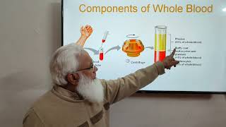 General functions of blood  Lecture No 1MuhammadYousafPhysiology [upl. by Onibla642]