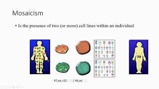 18 introduction to genetics Character Trait Somatic Germline Mosaicism Homologous Chromosomes [upl. by Sibeal]