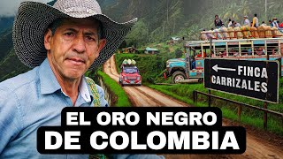 El Oro Negro De Colombia  Documental De Café Colombiano Versión en Español [upl. by Nikki951]