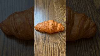 Croissant 🥐 🥐🥐 croissant cat funnycatvideos funny shorts [upl. by Lika]