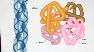 222 biocast [upl. by Syah]